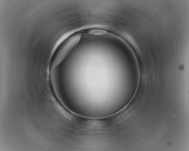 X0000091081420200708061327