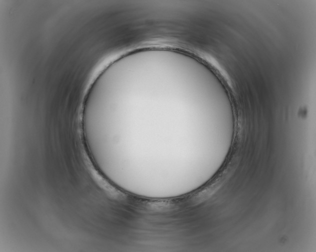 X0000091081421200708061327