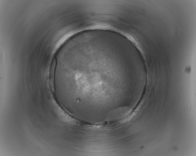 X0000091081422200708061327