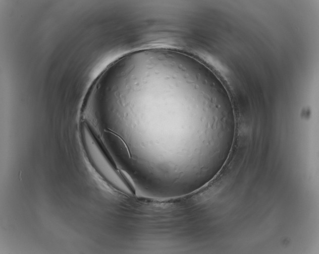 X0000091081423200708061327