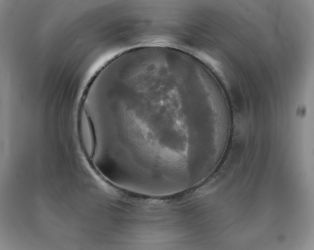 X0000091081424200708061328