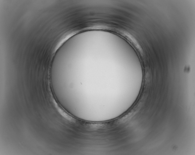 X0000091081425200708061328