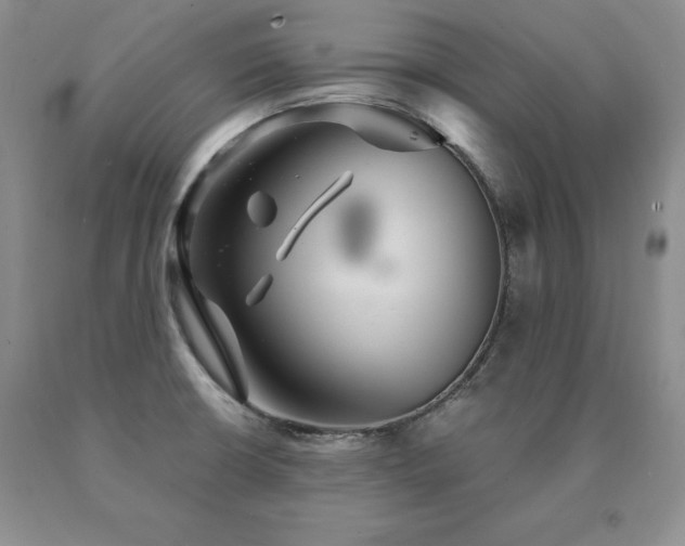 X0000091081426200708061328
