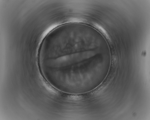 X0000091081427200708061328
