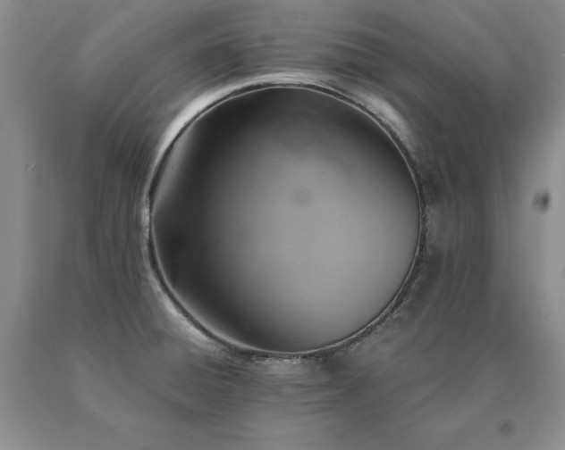 X0000091081428200708061328