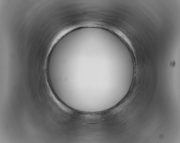 X0000091081429200708061328
