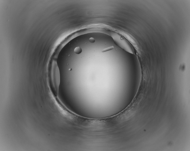 X0000091081430200708061328