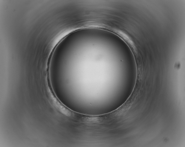X0000091081431200708061328