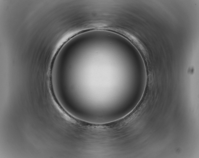 X0000091081432200708061328