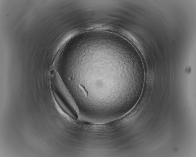 X0000091081433200708061328