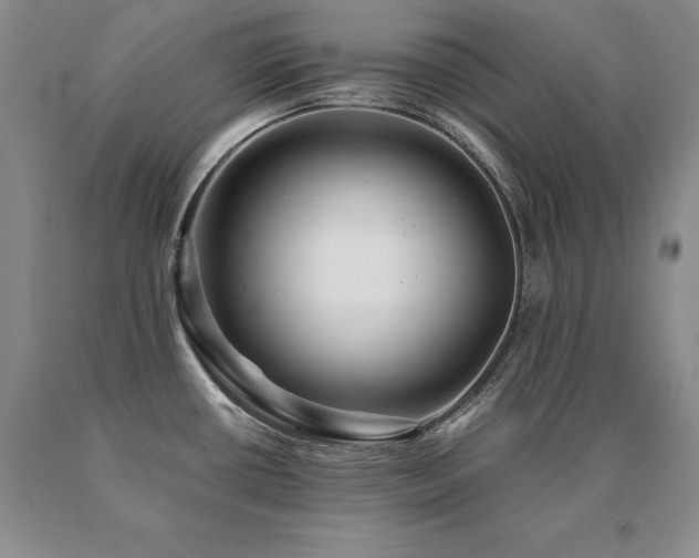 X0000091081434200708061328
