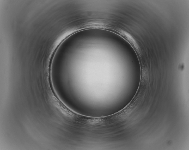 X0000091081435200708061328