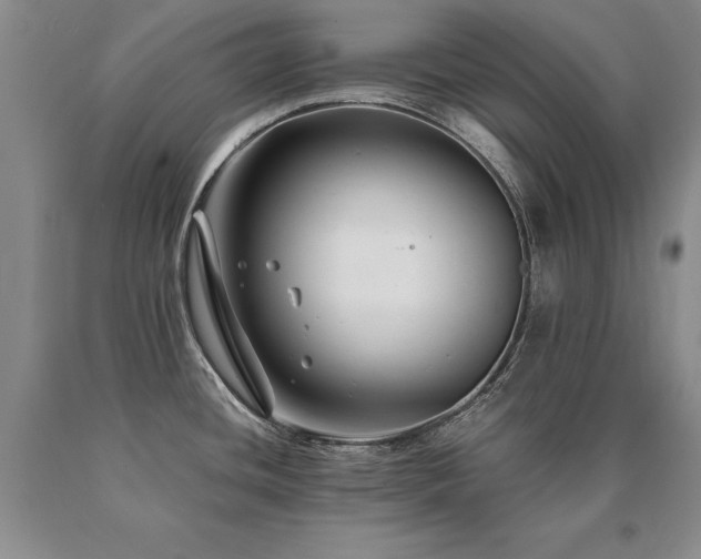X0000091081436200708061328