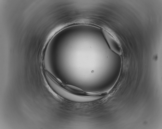 X0000091081437200708061328