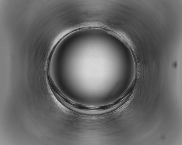 X0000091081438200708061328