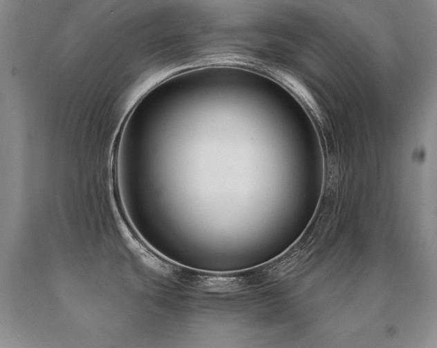 X0000091081439200708061328