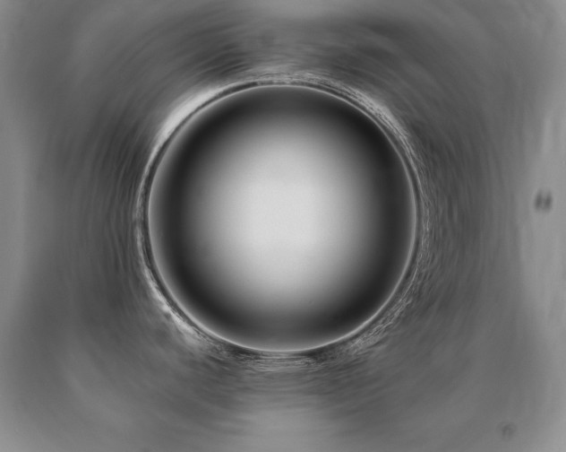 X0000091081440200708061328