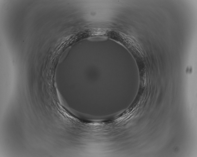 X0000091081441200708061327