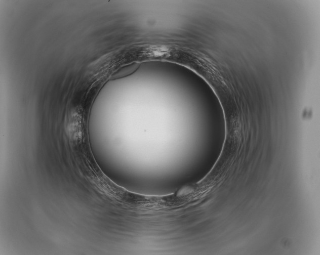 X0000091081442200708061327