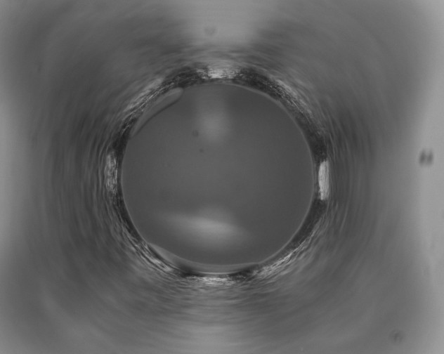 X0000091081443200708061327