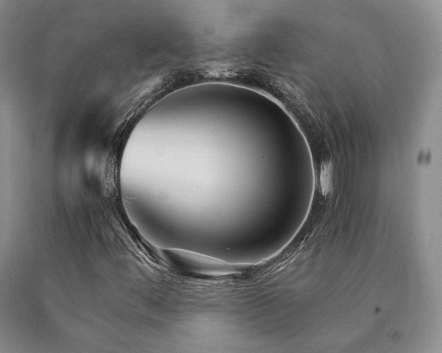 X0000091081444200708061327