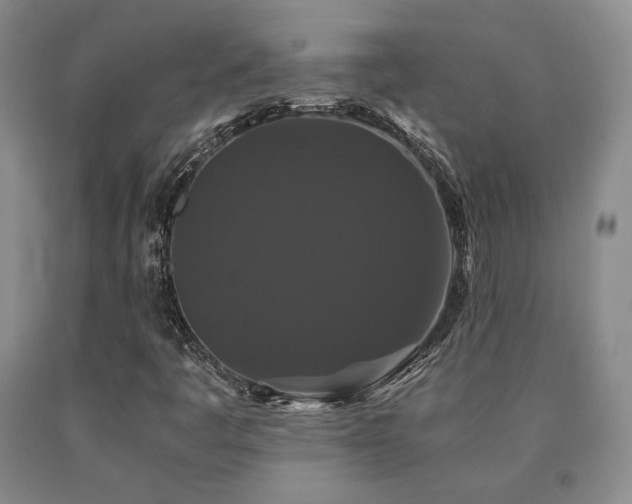 X0000091081445200708061327