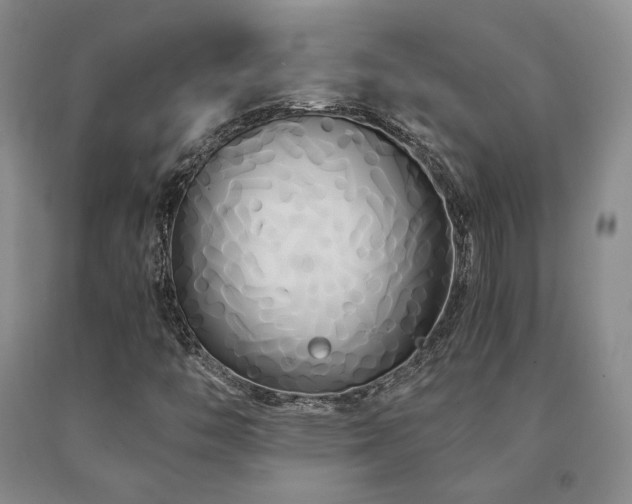 X0000091081446200708061327