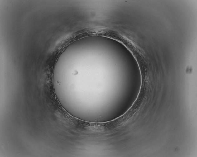 X0000091081447200708061327