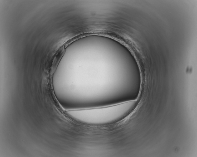 X0000091081449200708061327