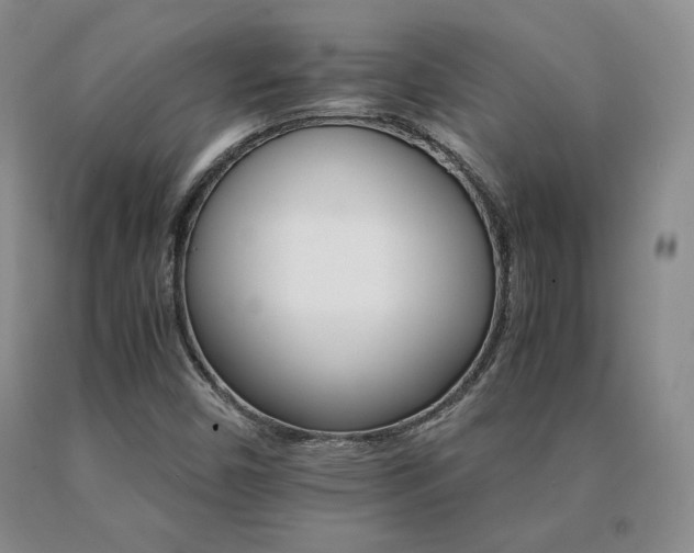 X0000091081450200708061327