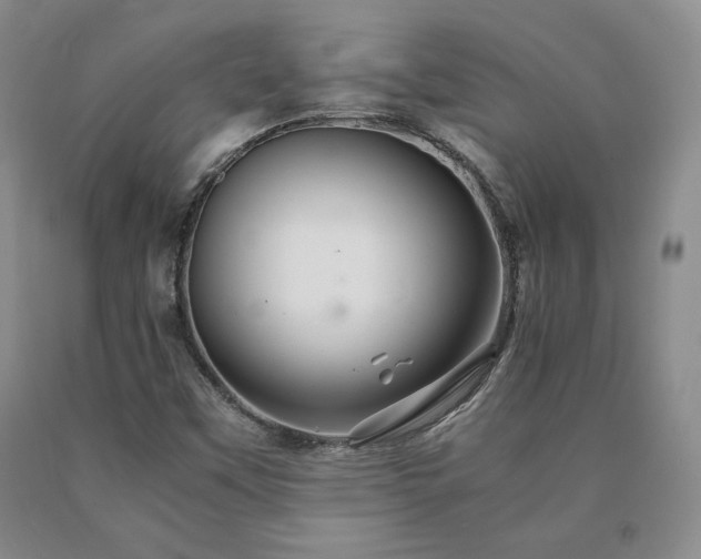 X0000091081451200708061327