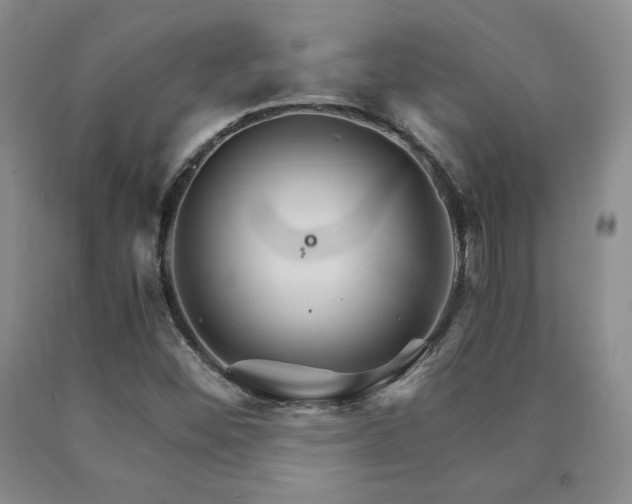 X0000091081452200708061327