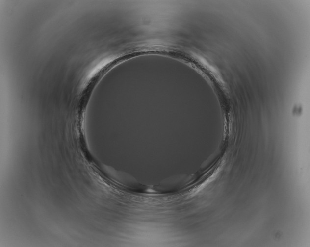 X0000091081453200708061327