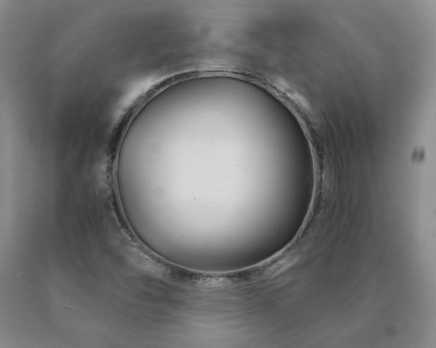 X0000091081454200708061327