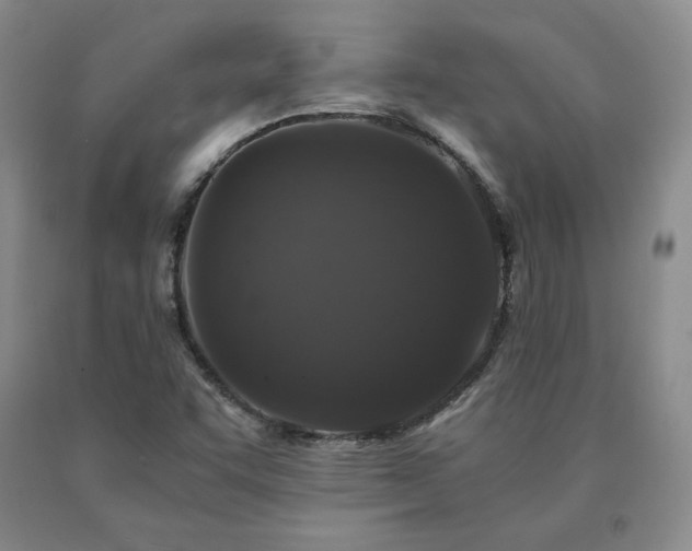 X0000091081455200708061327