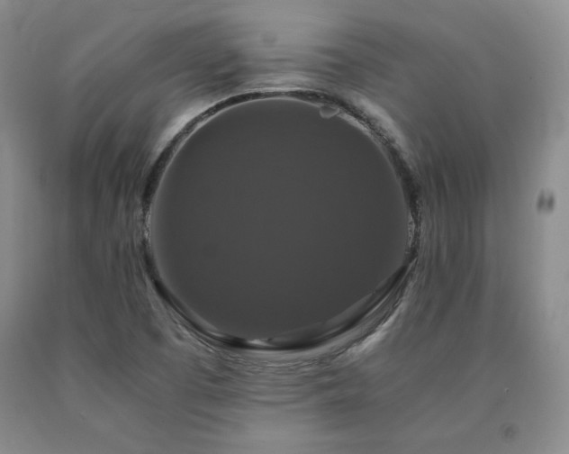 X0000091081457200708061327