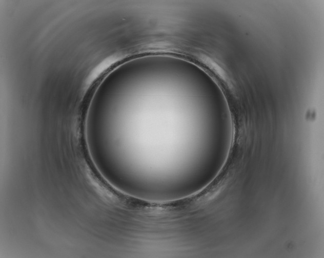 X0000091081458200708061327
