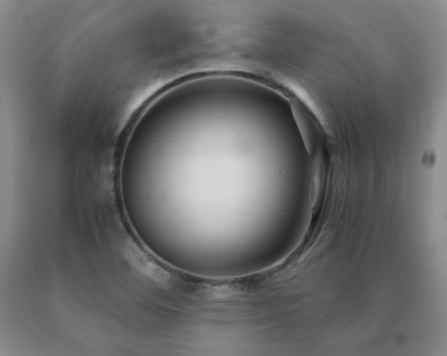 X0000091081460200708061327