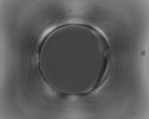 X0000091081461200708061327