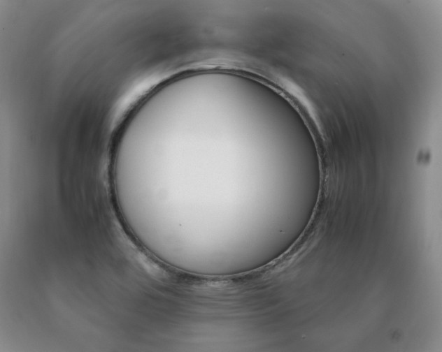 X0000091081464200708061327