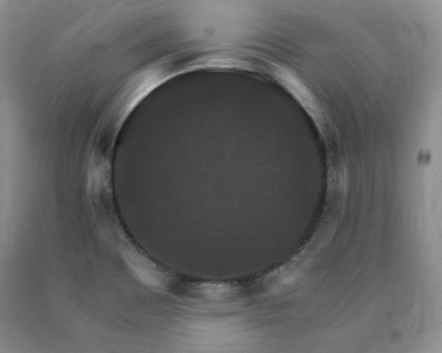 X0000091081465200708061327