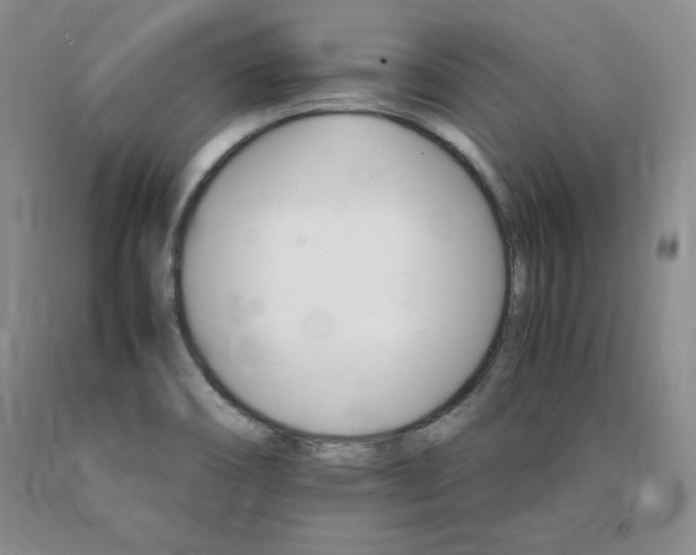 X0000091081466200708061327