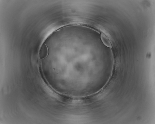 X0000091081467200708061327