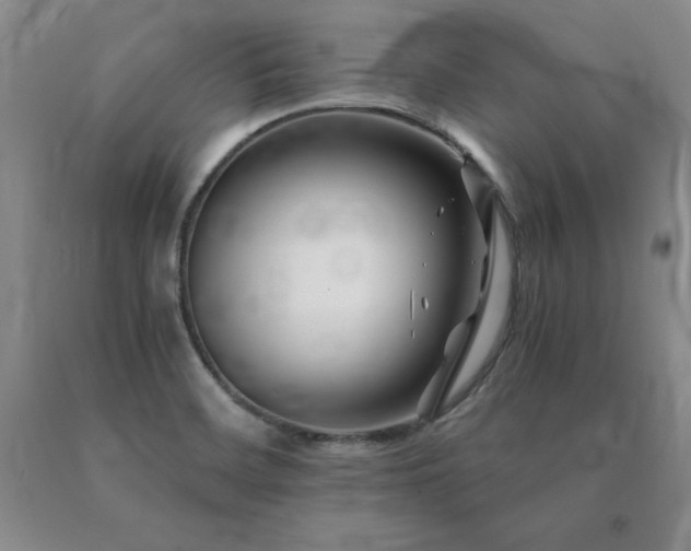 X0000091081468200708061327