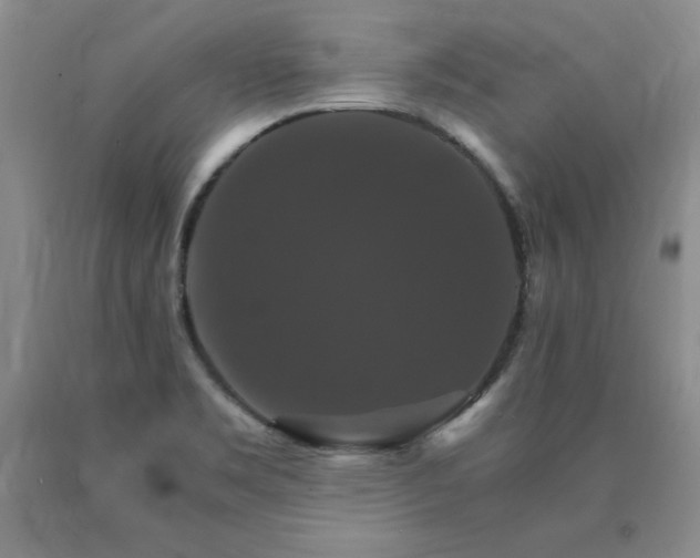 X0000091081469200708061327