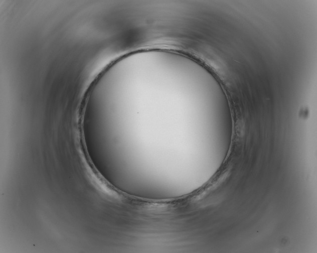 X0000091081470200708061327