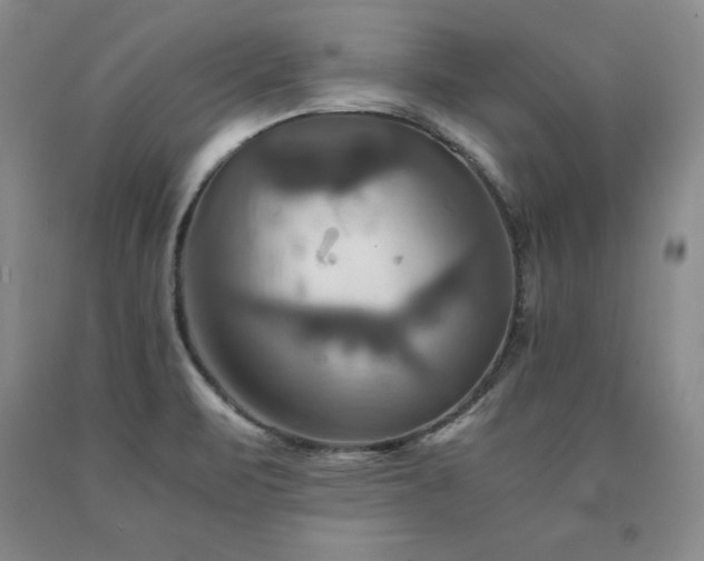 X0000091081471200708061327