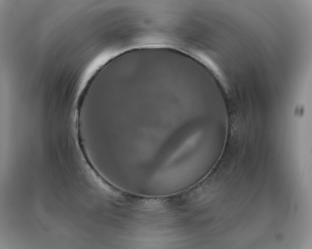 X0000091081472200708061327