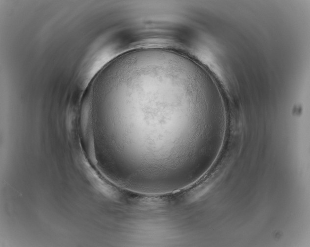 X0000091081473200708061327
