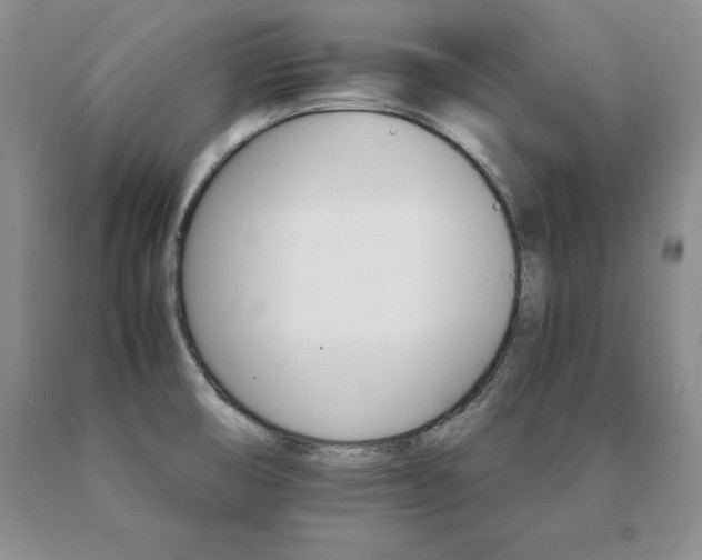 X0000091081474200708061327